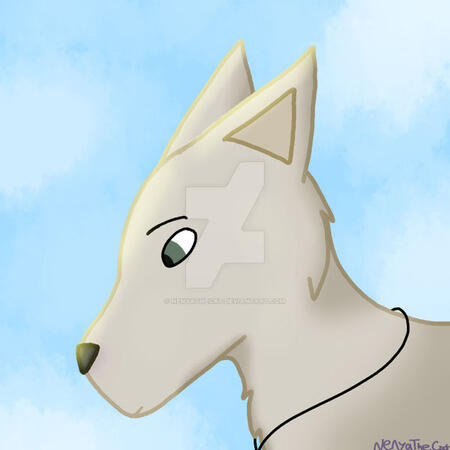 Character owned by JustAClover (Toyhou.se)